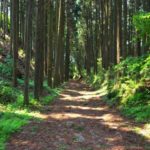 加賀藩の早道飛脚足軽は500kmを5日で走っていた