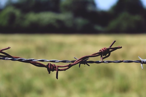 Barbed wire 887276 640
