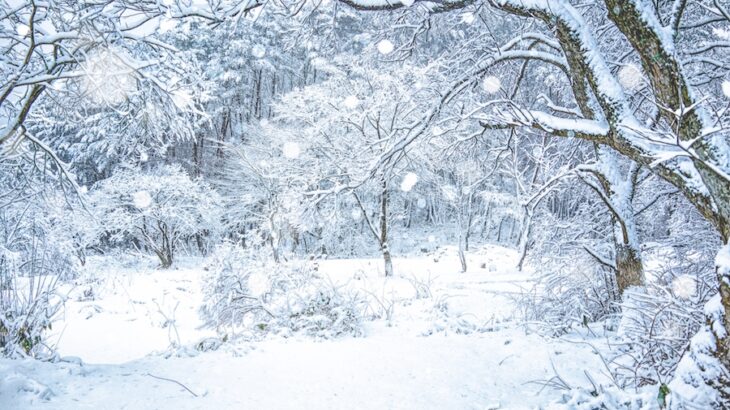 新拠点の北広島市の最低気温がマイナス20℃になると聞いて愛媛マラソン後は雪解けまで完全オフが決定