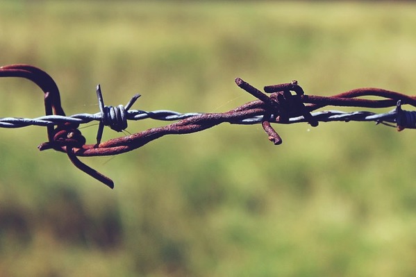 Barbed wire 887275 640
